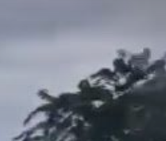 ทบ. ชี้กัมพูชากักกันคนไทยที่ด่านปอยเปต อาจเข้าข่ายการละเมิดกฎหมายมนุษยธรรมระหว่างประเทศ